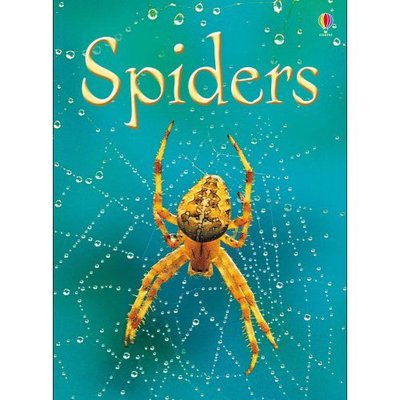 Cover for Rebecca Gilpin · Spiders - Beginners (Hardcover Book) [New edition] (2007)