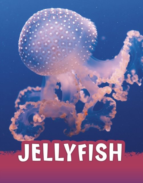 Cover for Jaclyn Jaycox · Jellyfish - Animals (Hardcover bog) (2022)
