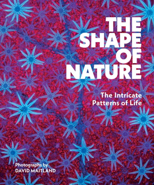 Cover for David Maitland · The Shape of Nature: The Intricate Patterns of Life (Hardcover Book) (2025)