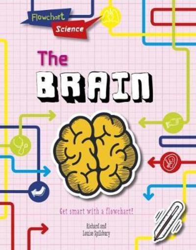 Cover for Louise Spilsbury · The Brain - Flowchart Science: The Human Body (Hardcover Book) (2018)