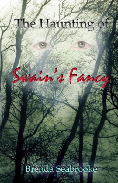 Cover for Brenda Seabrooke · The Haunting of Swain's Fancy (Paperback Book) (2015)