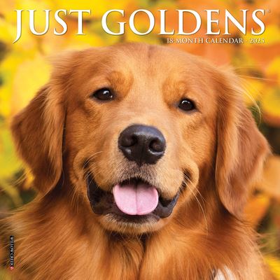 Cover for Willow Creek Press · Just Goldens 2025 7 X 7 Mini Wall Calendar (Calendar) (2024)