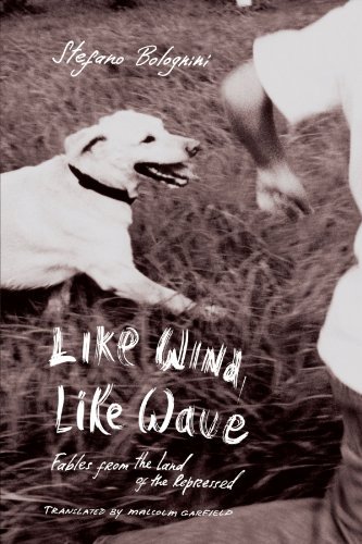 Cover for Stefano Bolognini · Like Wind, Like Wave (Taschenbuch) (2006)