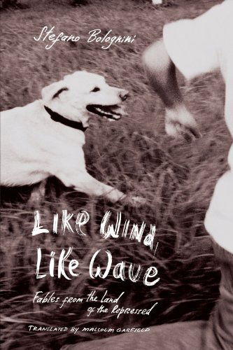Like Wind, Like Wave - Stefano Bolognini - Books - Other Press - 9781590511794 - October 17, 2006