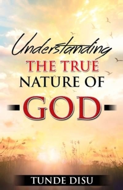 Cover for Tunde Disu · Understanding The True Nature of God (Paperback Book) (2020)