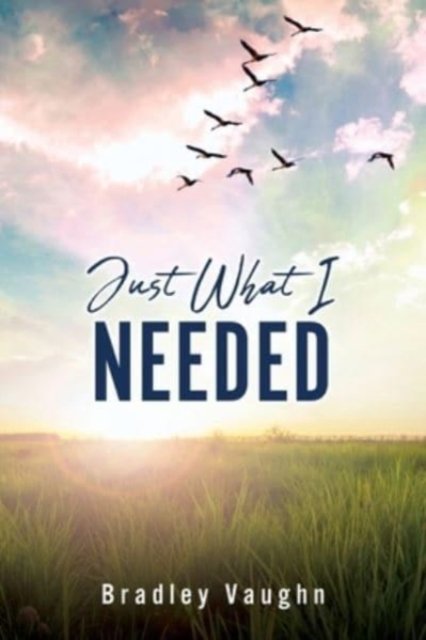 Cover for Bradley Vaughn · Just What I Needed (Paperback Book) (2021)
