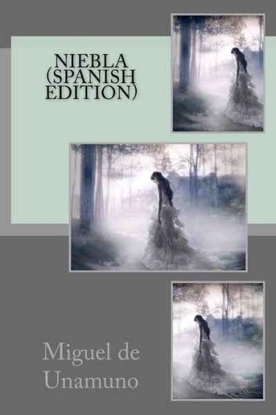 Cover for Miguel de Unamuno · Niebla (Taschenbuch) [Spanish edition] (2018)