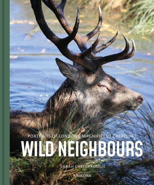 Cover for Sarah Cheesbrough · Wild Neighbours: Portraits of London's Magnificent Creatures (Hardcover Book) (2020)
