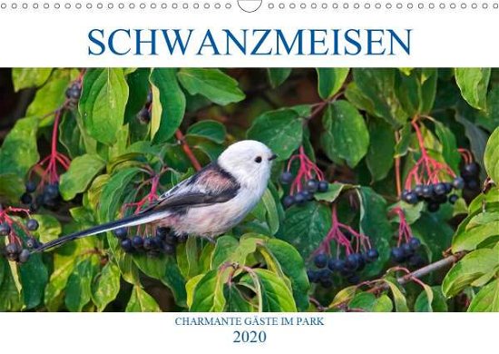 Cover for Jäger · Schwanzmeisen (Wandkalender 2020 (Book)