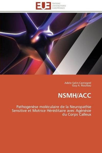 Cover for Guy A. Rouleau · Nsmh / Acc: Pathogenèse Moléculaire De La Neuropathie Sensitive et Motrice Héréditaire Avec Agénésie Du Corps Calleux (Paperback Book) [French edition] (2018)