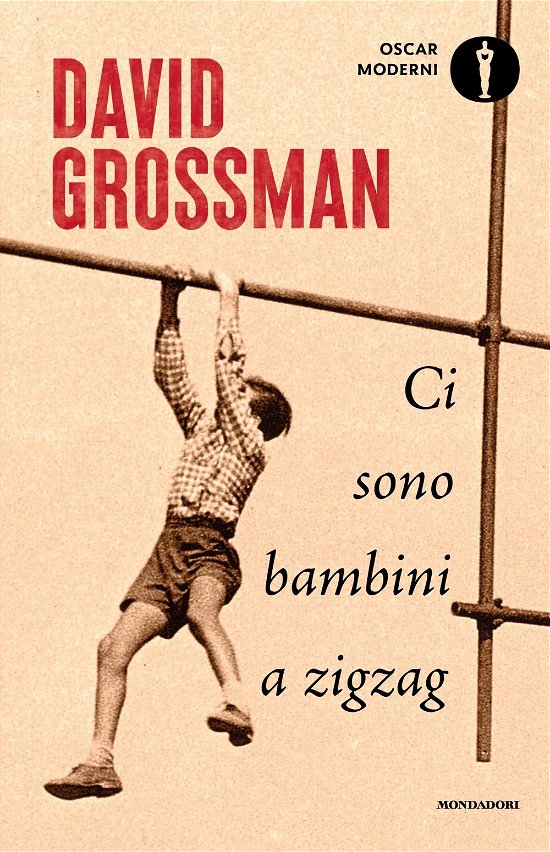 Cover for David Grossman · Ci Sono Bambini A Zigzag (Bok)