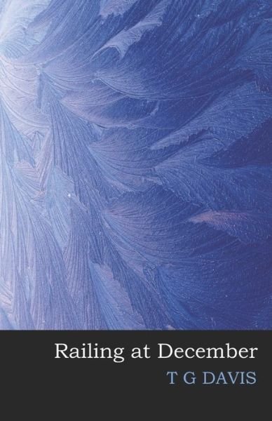 Cover for T G Davis · Railing at December (Paperback Book) (2021)