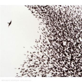 Wilco · Sky Blue Sky (CD) [Enhanced edition] (2007)