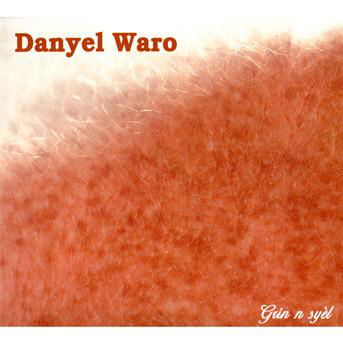 Cover for Danyel Waro · Grin N Syel (CD) (2009)