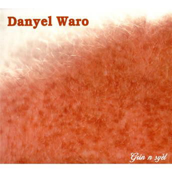 Grin N Syel - Danyel Waro - Música - L'AUTRE - 3521383415795 - 26 de novembro de 2009