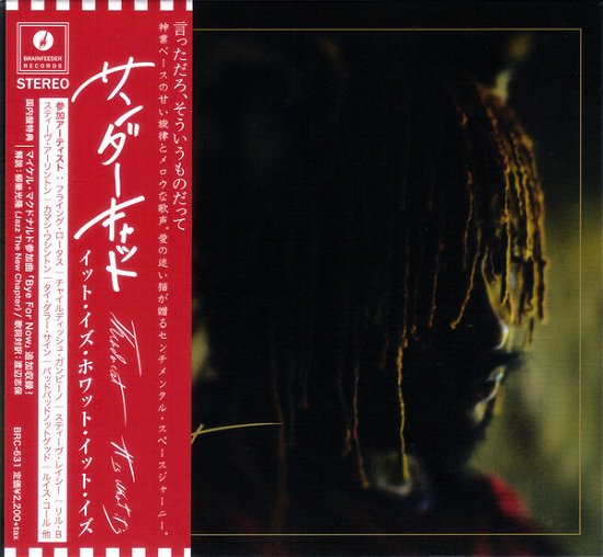 Cover for Thundercat · It Is What It Is (CD) [Japan Import edition] (2020)