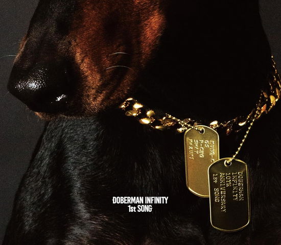 1st Song <limited> - Doberman Infinity - Musik -  - 4589757402795 - 26. juni 2024