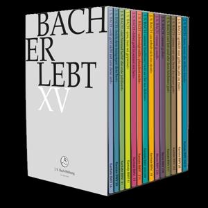 Cover for Choir &amp; Orchestra Of The J.S. Bach Foundation · Bach Erlebt Xv (DVD) (2023)