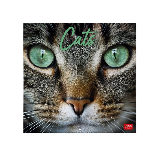 Cover for Legami · Wall Calendars - 2024 Wall Calendar - Cats - 30x29 - Cats (Paperback Bog) (2023)