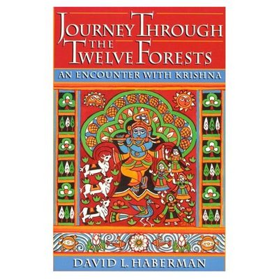 Cover for David L. Haberman · Journey Through the Twelve Forests: An Encounter with Krishna (Paperback Book) (1994)