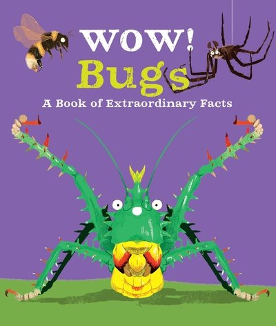 Cover for Camilla de la Bedoyere · Wow! Bugs - Wow! (Paperback Book) (2019)