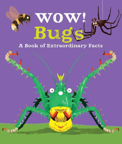 Wow! Bugs - Wow! - Camilla de la Bedoyere - Livres - Pan Macmillan - 9780753444795 - 19 septembre 2019