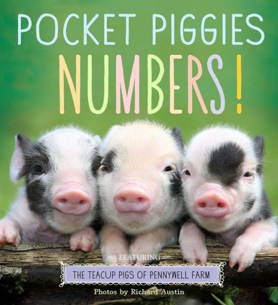 Pocket Piggies Numbers!: Featuring the Teacup Pigs of Pennywell Farm - Richard Austin - Books - Workman Publishing - 9780761179795 - February 25, 2014