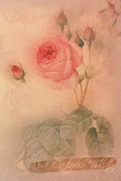 Cover for Coming Up Roses · Rosa Centifolia Bullata (Paperback Book) (2019)