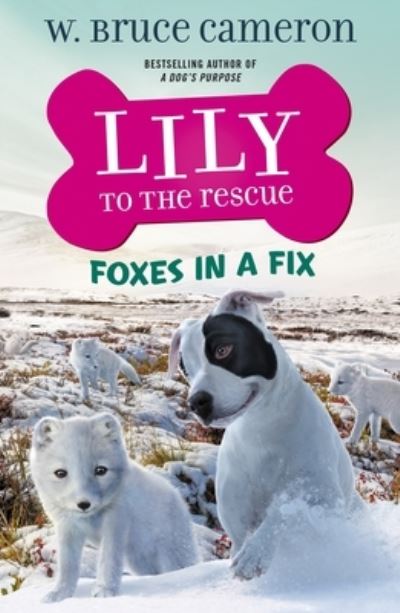 Cover for W. Bruce Cameron · Lily to the Rescue: Foxes in a Fix - Lily to the Rescue! (Hardcover Book) (2021)