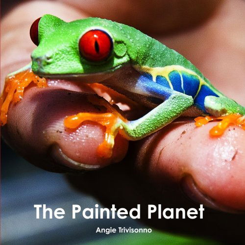 Cover for Angie Trivisonno · The Painted Planet (Paperback Book) (2014)