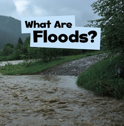 Cover for Mari Schuh · What Are Floods? (Gebundenes Buch) (2019)