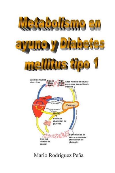 Cover for Mario Rodriguez Pena · Metabolismo en Ayuno Y Diabetes Mellitus Tipo 1 (Taschenbuch) (2009)