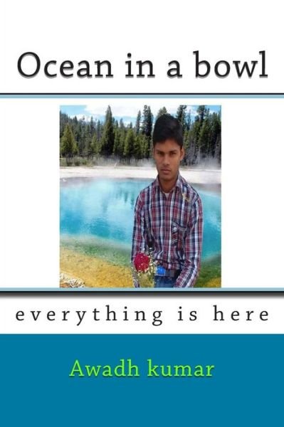 Cover for Awadh Kumar · Ocean in a Bowl: Everything is Here (Pocketbok) (2015)