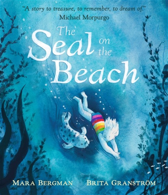 Cover for Mara Bergman · The Seal on the Beach (Hardcover Book) (2024)