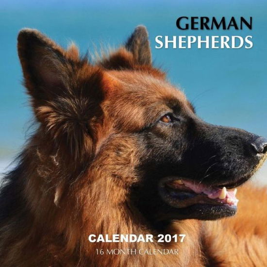 Cover for David Mann · German Shepherds Calendar 2017 (Paperback Book)