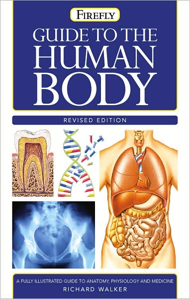 Guide to the Human Body (Firefly Pocket Series) - Richard Walker - Książki - Firefly Books - 9781552978795 - 15 sierpnia 2008