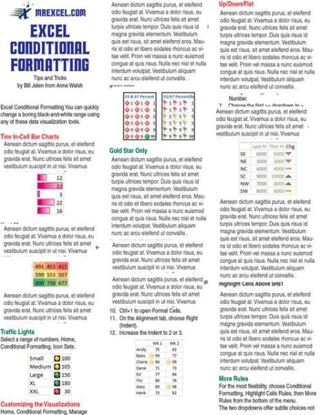 Excel Conditional Formatting Tip Card - Anne Walsh - Książki - Holy Macro! Books - 9781615479795 - 1 lipca 2015