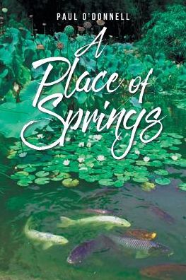 Cover for Paul O'Donnell · A Place of Springs (Taschenbuch) (2019)