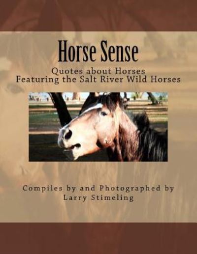 Cover for Larry Stimeling · Horse sense (Paperback Book) (2017)