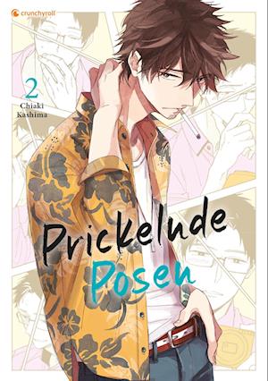 Cover for Kashima:prickelnde Posen · Band 2 (fina (Book)