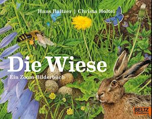 Cover for Hans Baltzer · Die Wiese (Book) (2025)