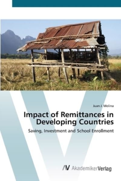 Cover for Molina · Impact of Remittances in Develop (Bok) (2012)