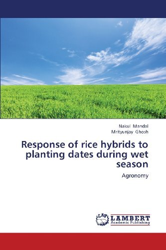 Cover for Mrityunjay Ghosh · Response of Rice Hybrids to Planting Dates During Wet Season: Agronomy (Paperback Book) (2013)
