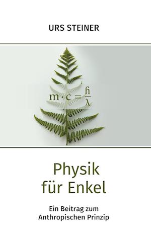 Cover for Urs Steiner · Physik für Enkel (Hardcover Book) (2021)