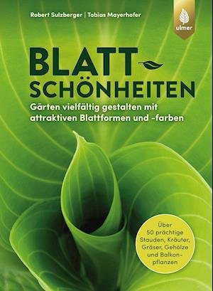 Cover for Robert Sulzberger · Blattschönheiten (Paperback Book) (2021)