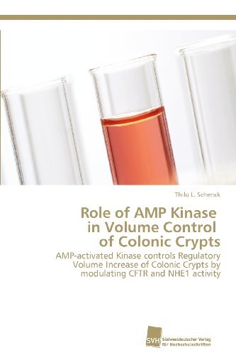 Cover for Thilo L. Schenck · Role of Amp Kinase   in Volume Control   of Colonic Crypts: Amp-activated Kinase Controls Regulatory Volume Increase of Colonic Crypts by Modulating Cftr and Nhe1 Activity (Paperback Bog) (2012)