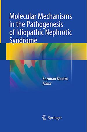 Cover for Molecular Mechanisms in the Pathogenesis of Idiopathic Nephrotic Syndrome (Pocketbok) [Softcover reprint of the original 1st ed. 2016 edition] (2016)