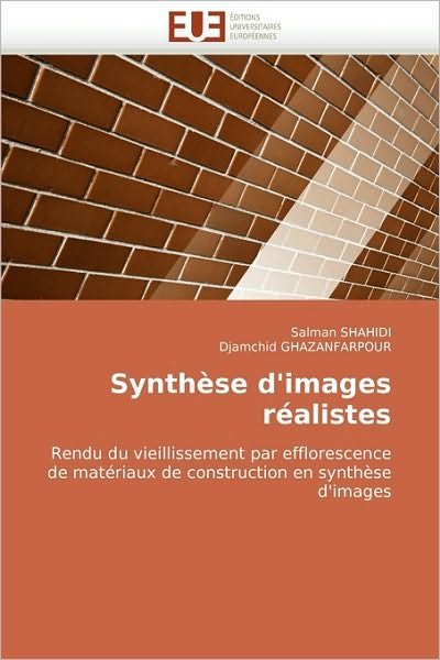 Cover for Djamchid Ghazanfarpour · Synthèse D'images Réalistes: Rendu Du Vieillissement Par Efflorescence De Matériaux De Construction en Synthèse D'images (Taschenbuch) [French edition] (2010)