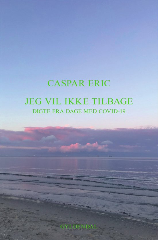 Cover for Caspar Eric · Jeg vil ikke tilbage (Hæftet bog) [1. udgave] (2020)