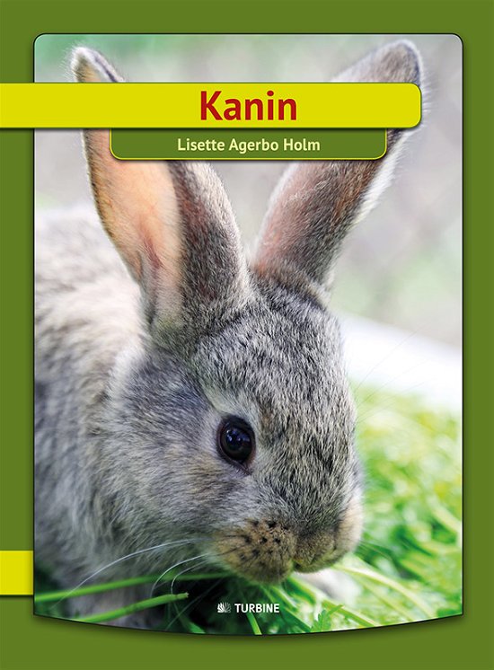 Cover for Lisette Agerbo Holm · Jeg læser: Kanin (Hardcover Book) (2015)